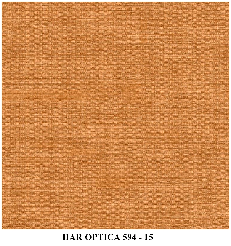 HAR OPTICA / 594 - Image 14