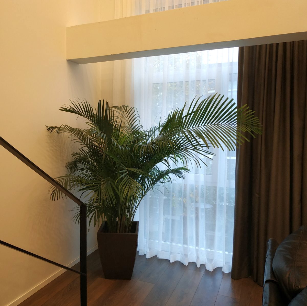 DROBĖ/N2320 ↕290 - Image 10