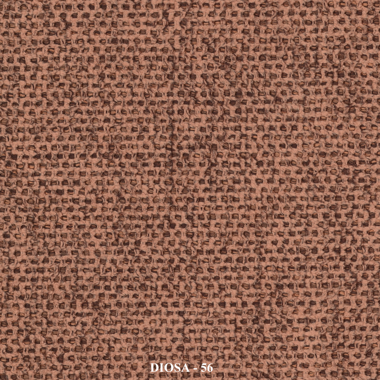 DIOSA ↔140 cm - Image 8