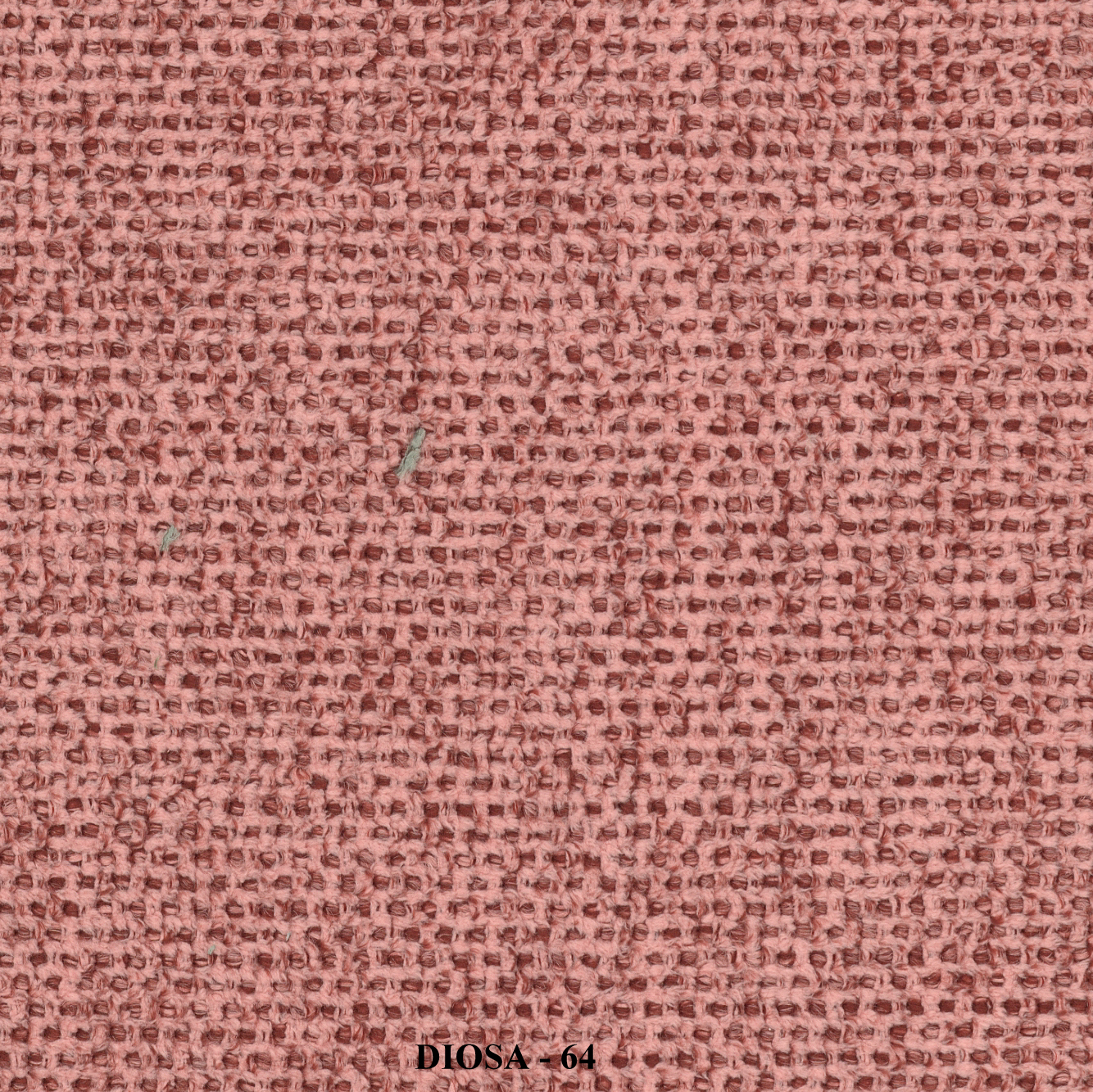 DIOSA ↔140 cm - Image 11