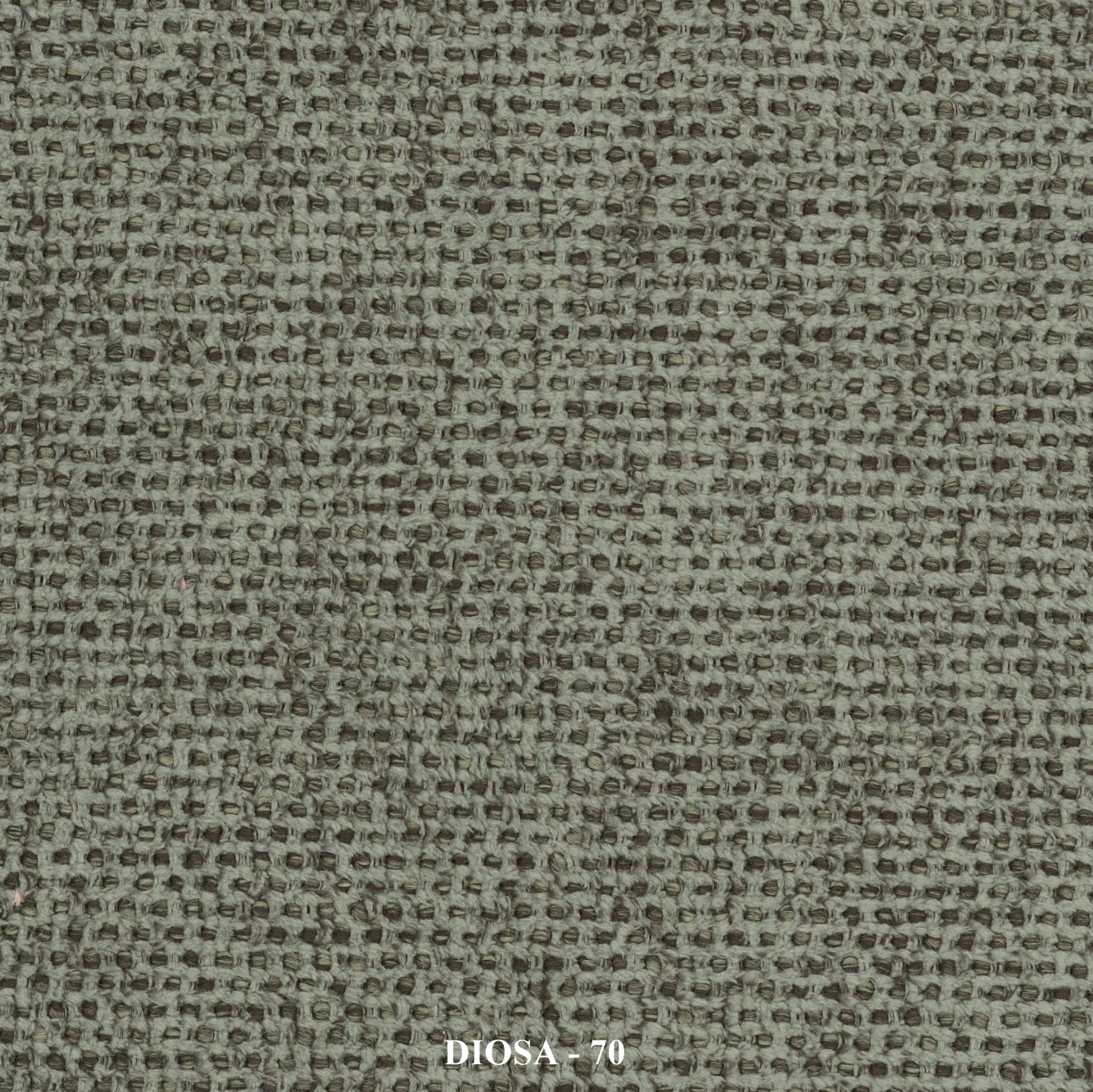 DIOSA ↔140 cm - Image 12