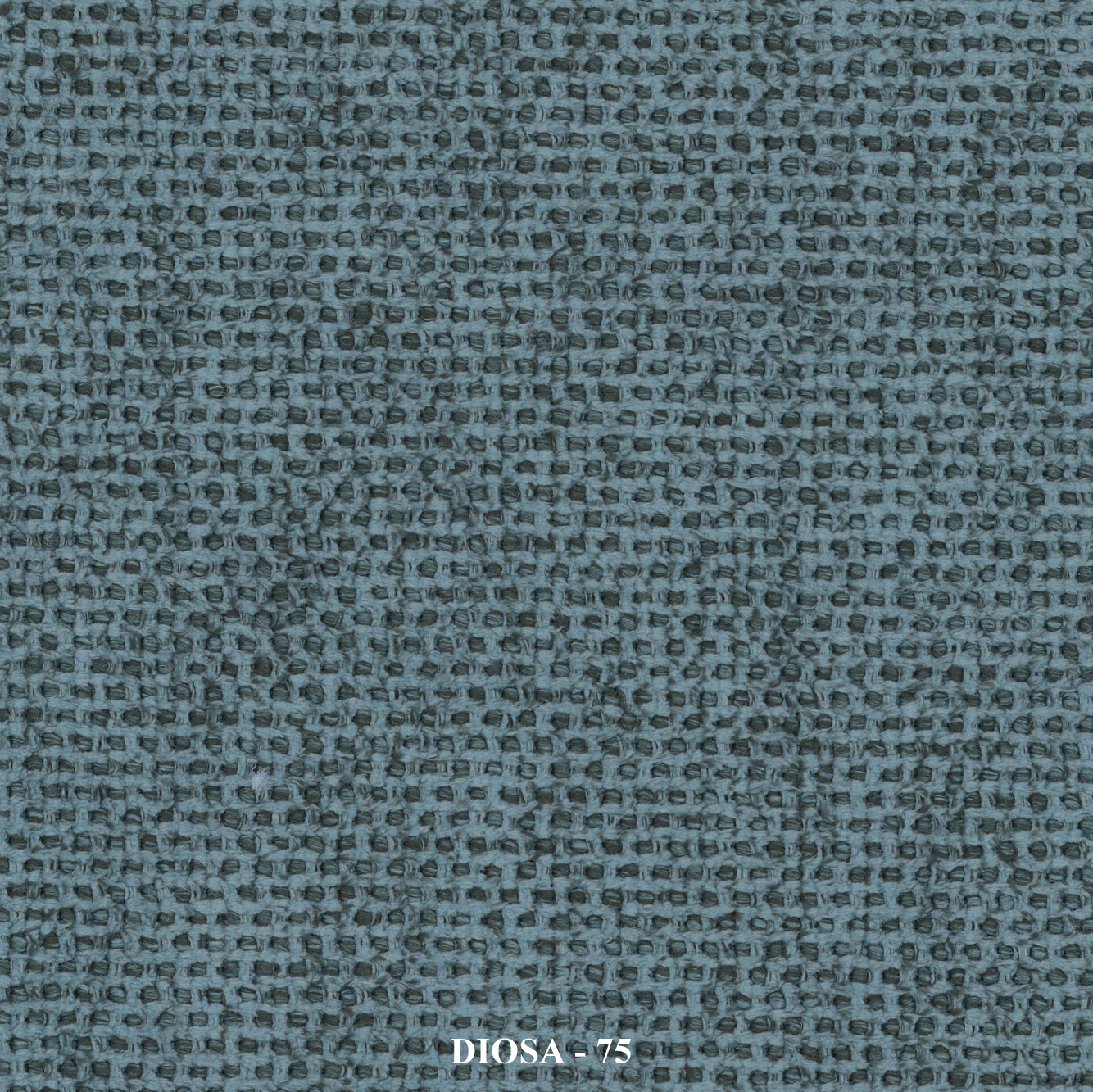 DIOSA ↔140 cm - Image 15